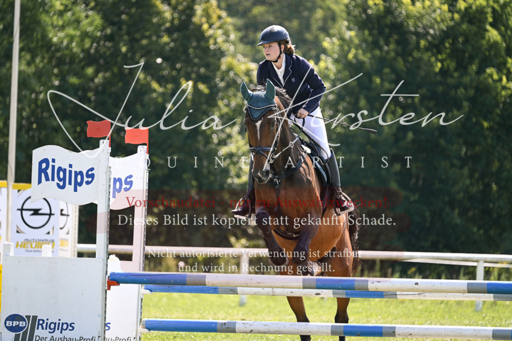 DSC_8973 | Pferde- und Turnierfotografie in Westsachsen. Pferdeportraits, Auftragszeichnungen und intuitive Kunst.