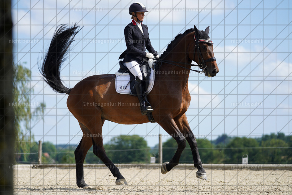 20230826-FAH06042 | Forstinning, 2023, Dressurturnier, Turniersportbilder, Turnierfotografen Bayern, Fotoagentur Herrmann, Reitsportfotografie, Turnierbilder