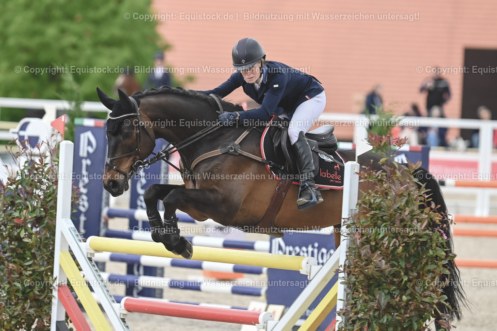 20230514_CCI4_Springen_0221 | equistock