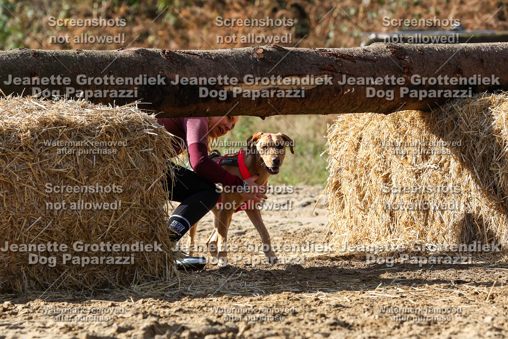 Dog Paparazzi - Strongdog 10-25-4870 | Dog Paparazzi Jeanette Grottendiek Fotografie & Videografie - Realisiert mit Pictrs.com