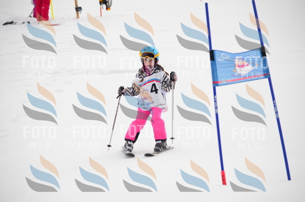 B9600 | holidayphoto