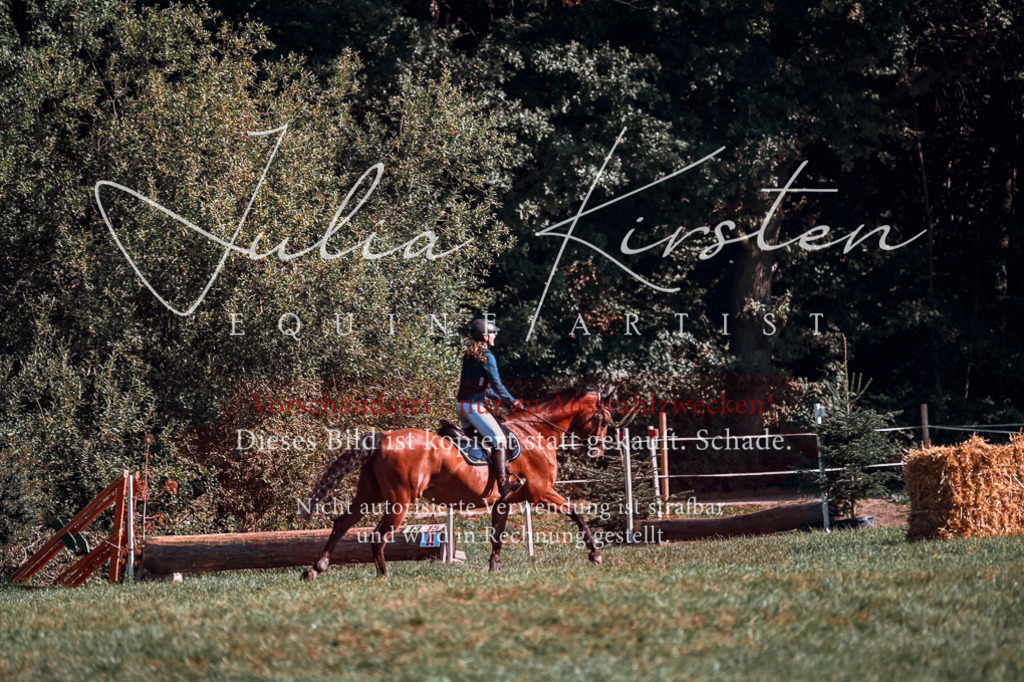 DSC_0561 | Pferde- und Turnierfotografie in Westsachsen. Pferdeportraits, Auftragszeichnungen und intuitive Kunst.