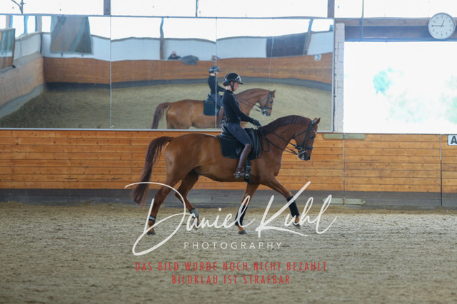 IMG_3888 | Turniersportfotografie; Pferdefotografie; Dressurfotografie