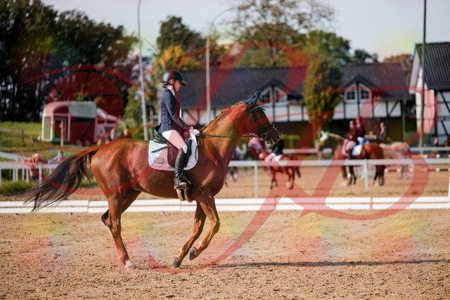 2026_10_03_Siefer-Hof_123530_Z63_53677567 | Professionelle Reitsport-, Turnier- und Eventfotografie von Robert Broda. Galerien mit ausgewählten und bearbeiteten Bildern direkt online ansehen und bestellen.