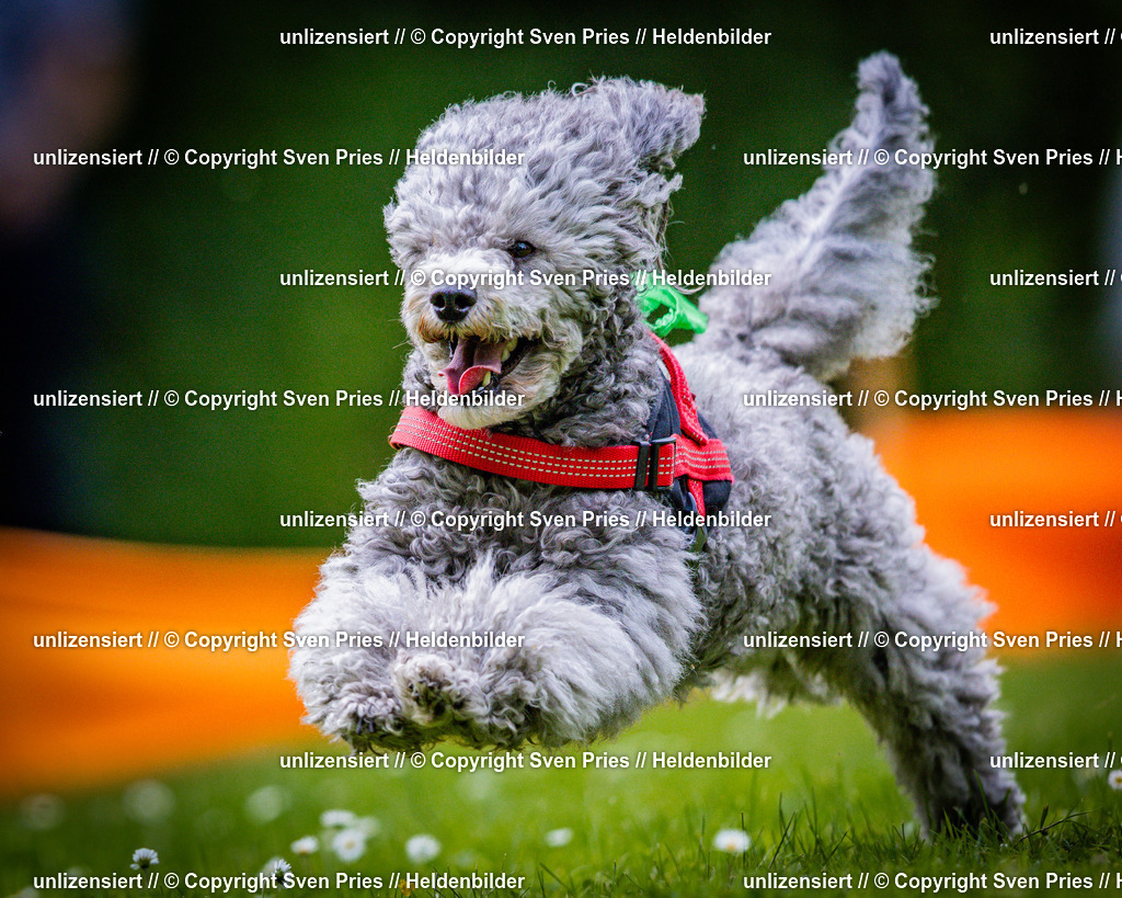 Sven Pries | 2025-05-29 - Pudelrennen KA-Durlach - Realisiert mit Pictrs.com