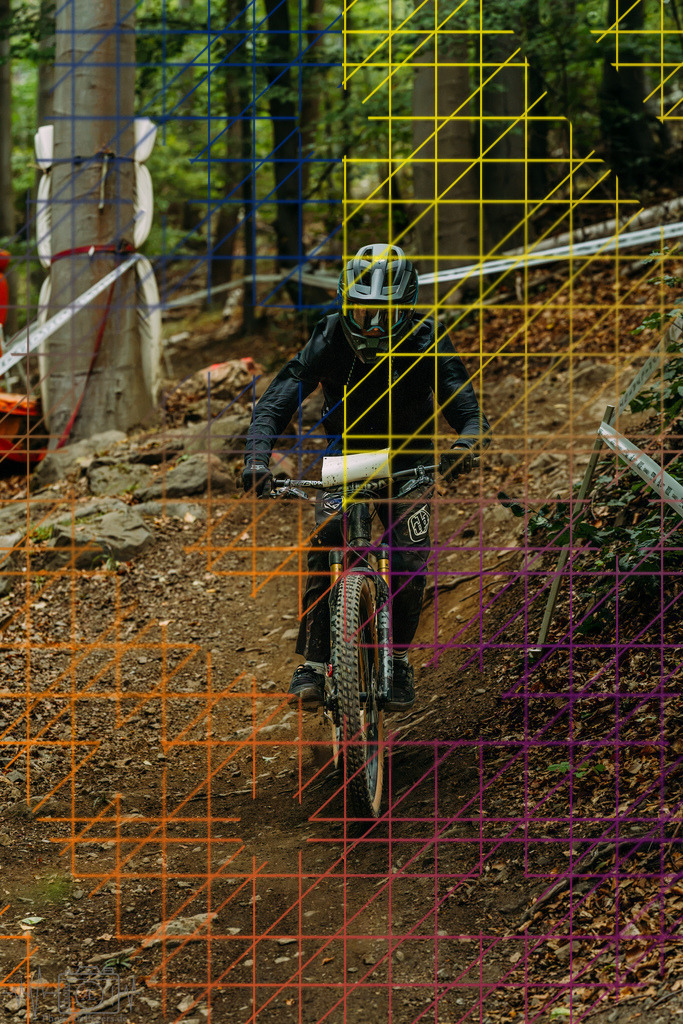 PAE-1606 | Einzigartige Fotokunst für dein Zuhause: Entdecke hochwertige Wandbilder, edle Prints und emotionale Motive von Wildlife, Natur und Landschaften - Realisiert mit Pictrs.com