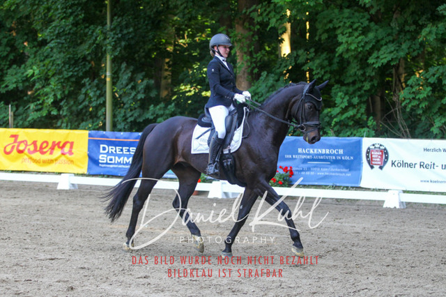 DKP42986 | Turniersportfotografie; Pferdefotografie; Dressurfotografie