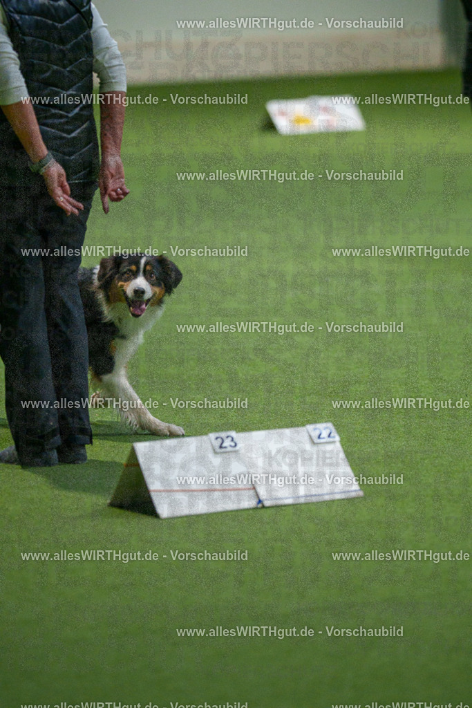 7R507648 | Professionelle Tierfotografie in Mönchengladbach von Daniel Wirth (allesWIRTHgut). Liebevolle & natürliche Bilder von Hunden & Katzen für unvergessliche Erinnerungen.