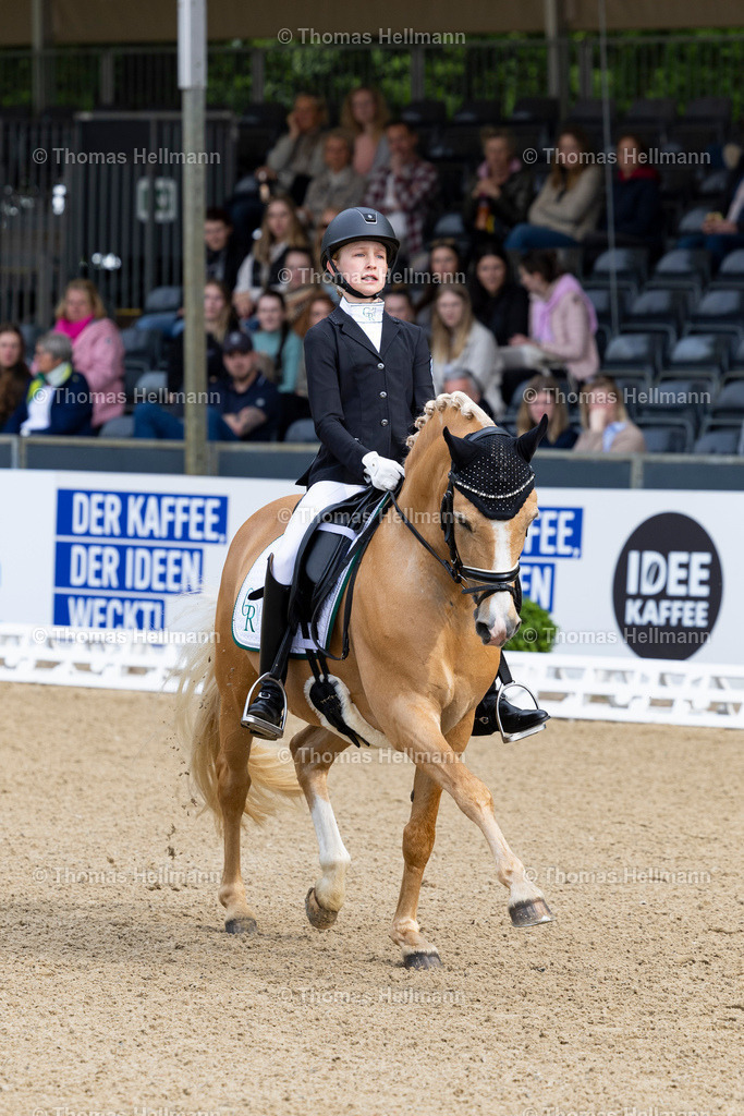 TH_649 NK Cyrill_ Mia Steinbusch_7921 | Deutsches Spring- und Dressur-Derby 2023 am 21.05.23 in Hamburg, Derby Platz Klein Flottbek, Thomas Hellmann, _Y7A8477