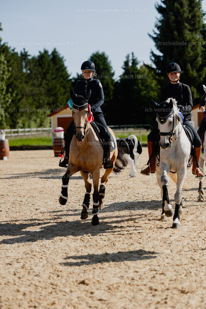 Svea13FHC2025-27817 | working equitationturnier fotograf videograf stoibphotography marixx film working equitation deutschland reitsport turnierfotografie eventfotografie equestrian events