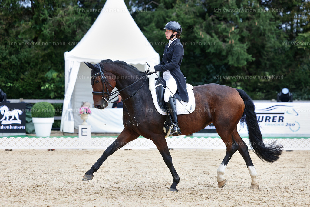 8_1-099-Klasse S_  -StoibPH-3868 | working equitationturnier fotograf videograf stoibphotography marixx film working equitation deutschland reitsport turnierfotografie eventfotografie equestrian events