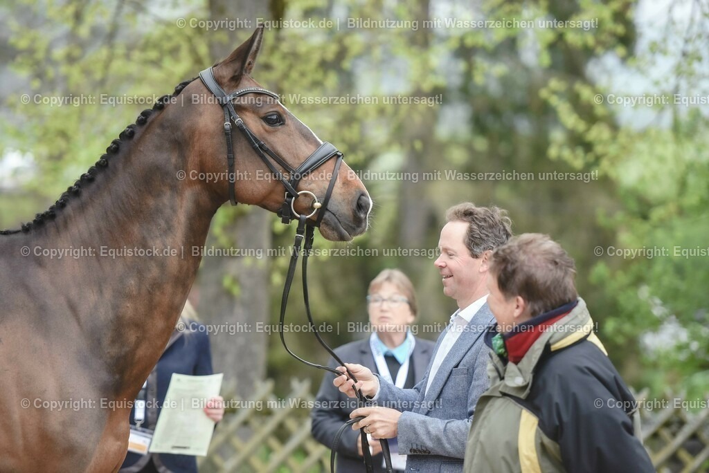 20230514_Impressionen_0152 | equistock