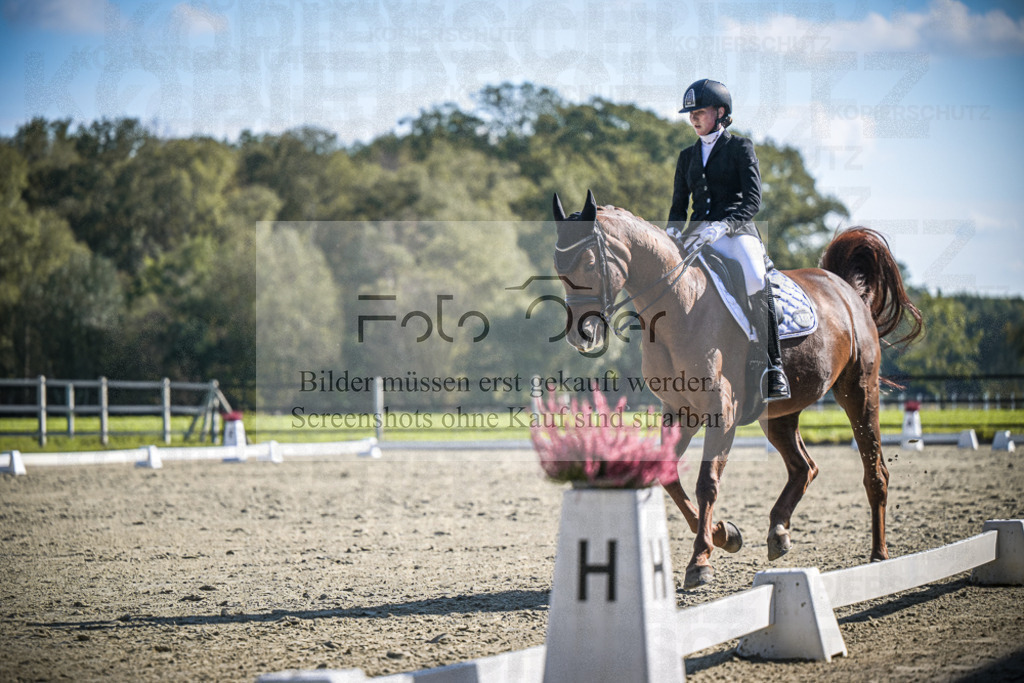 DOS_3024 | Entdecke hochwertige Reitturnierfotos von Foto Oger. Professionell, emotional und authentisch – jetzt Lieblingsmomente im Shop bestellen.Deutschlandweite Turnierfotografie. - Realisiert mit Pictrs.com