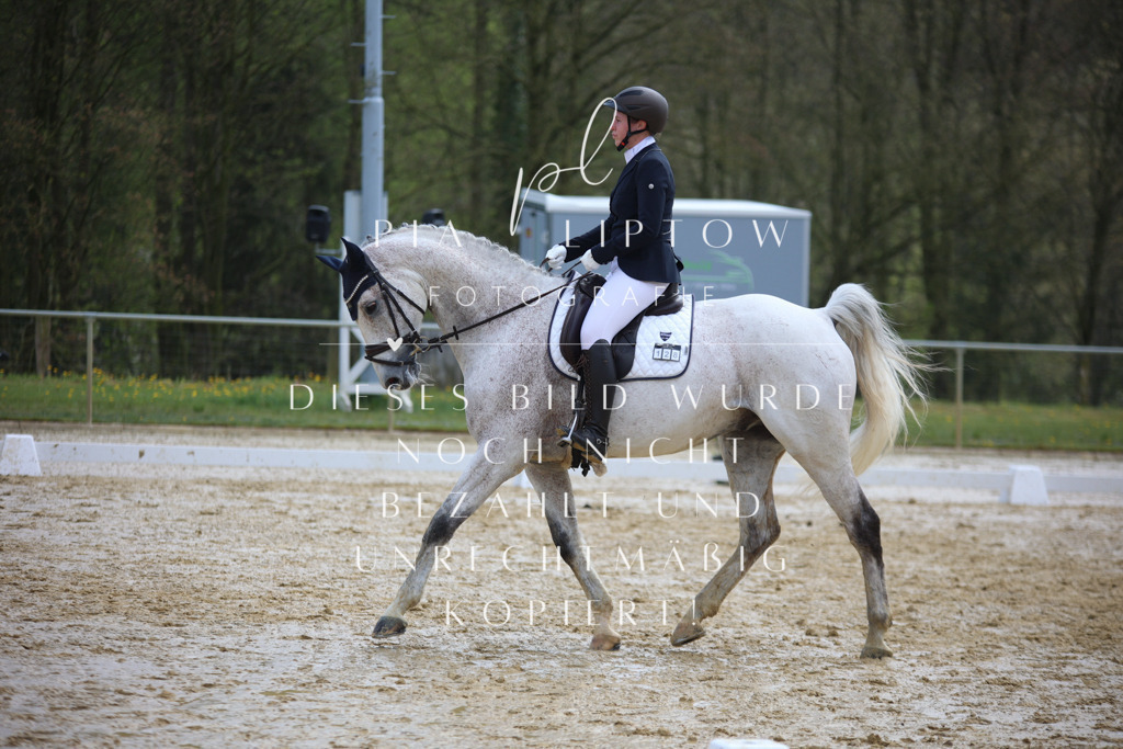 IMGT3372 | pl-fotografie