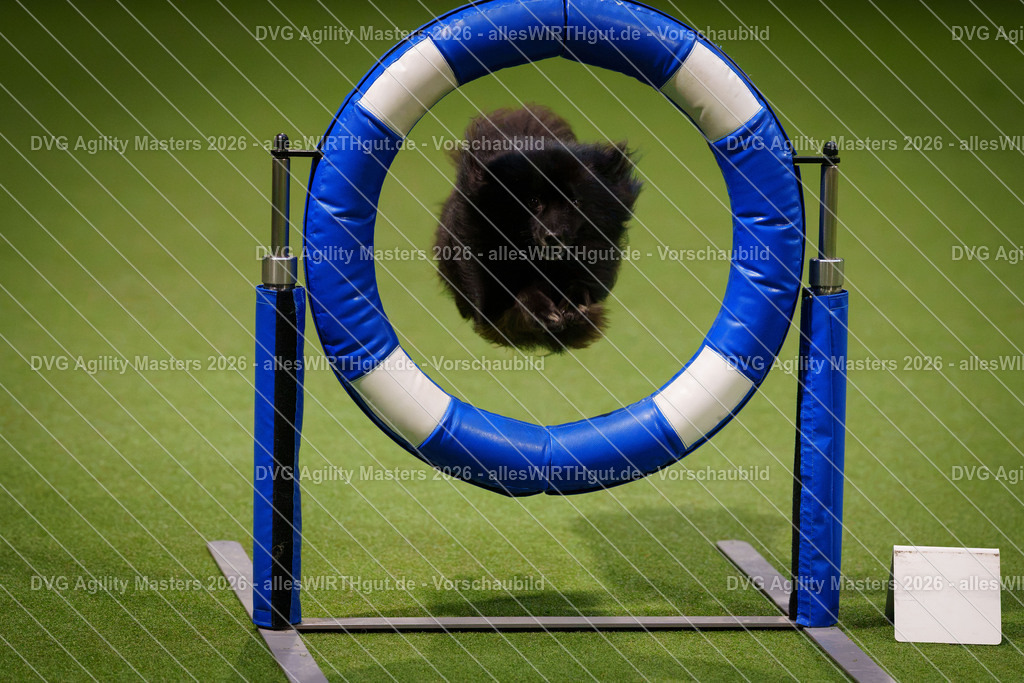allesWIRTHgut_Tierfotografie-DVG_Agility_Masters_2026-07_18-7R507123 | Professionelle Tierfotografie in Mönchengladbach von Daniel Wirth (allesWIRTHgut). Liebevolle & natürliche Bilder von Hunden & Katzen für unvergessliche Erinnerungen.