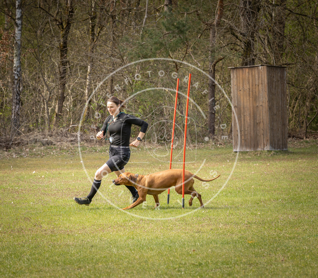 Pfotenfotografie_DV3A7164 | Hundefotografie, Tierfotograf, Pfotenfotografie, Fotoshooting Hund, Hunde Portrait, Hundesport, Hundeportraits, Heideshooting, Hunde, Sportfotograf, Hundefotograf, Turnierhundsport, THS,  - Realisiert mit Pictrs.com