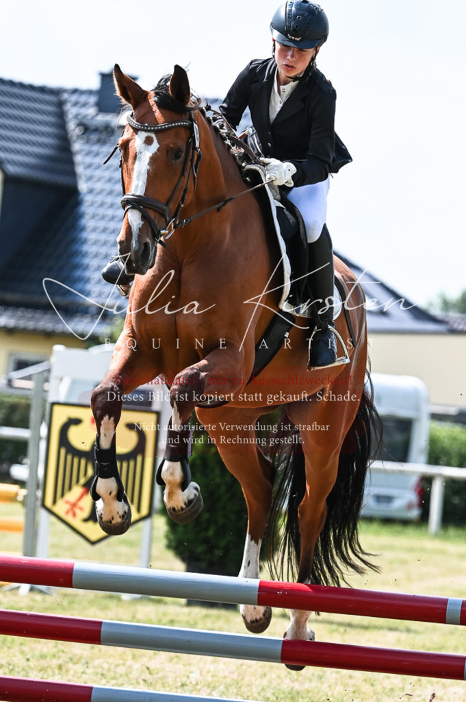 DSC_8675 | Pferde- und Turnierfotografie in Westsachsen. Pferdeportraits, Auftragszeichnungen und intuitive Kunst.