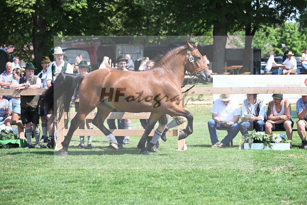 Kat-Nr. 24 Pepper_Gasteiger_20230359 | hf-fotografie - Realisiert mit Pictrs.com