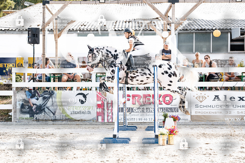 CK905974 | Turnierfotografie Pferdefotografie Trier Rheinland-Pfalz Pferdesport Reitsport Tierfotografie Sportfotografie Pferdevideo Pferdevideografie Equestrianvideography equestrianphotography  - Realisiert mit Pictrs.com
