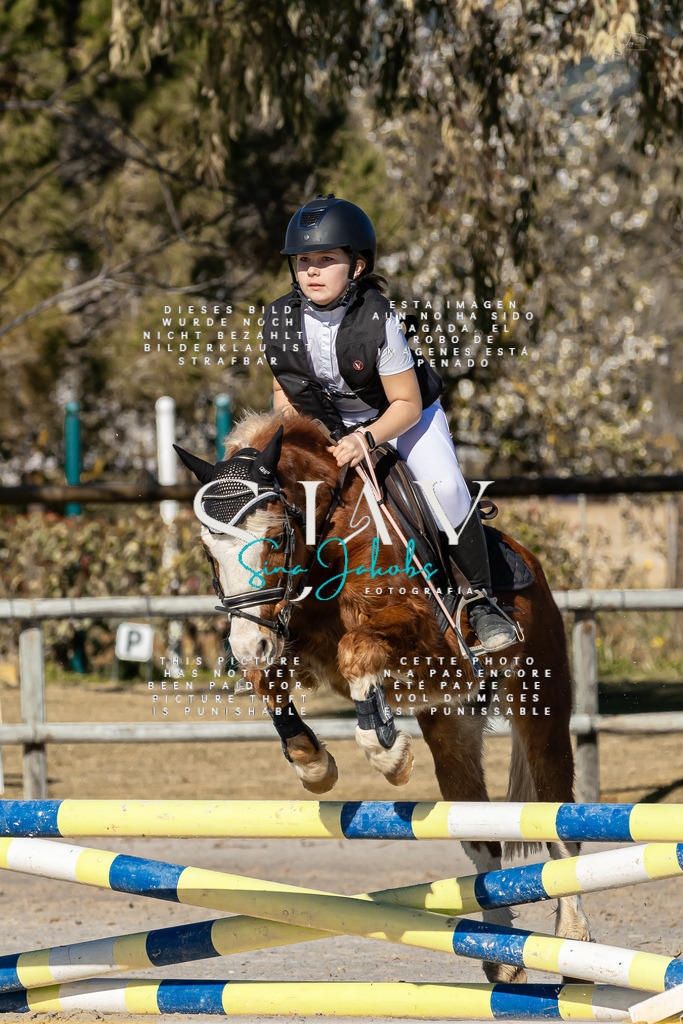 IMG_8142 | s-jay-photography - Realisiert mit Pictrs.com