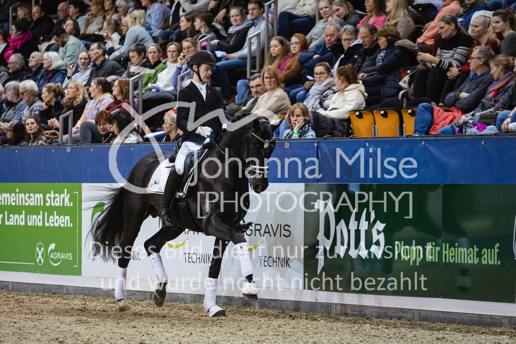 250108_Muenster_Hengstpräsentation-119 | Deine schönsten Turniermomente als professionelle Fotos! Entdecke hochwertige Pferdesport-Fotografie im Online-Shop. Jetzt Fotos finden & bestellen!