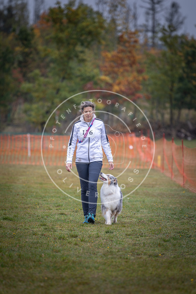 Pfotenfotografie_DV3A9371 | Hundefotografie, Tierfotograf, Pfotenfotografie, Fotoshooting Hund, Hunde Portrait, Hundesport, Hundeportraits, Heideshooting, Hunde, Sportfotograf, Hundefotograf, Turnierhundsport, THS,  - Realisiert mit Pictrs.com