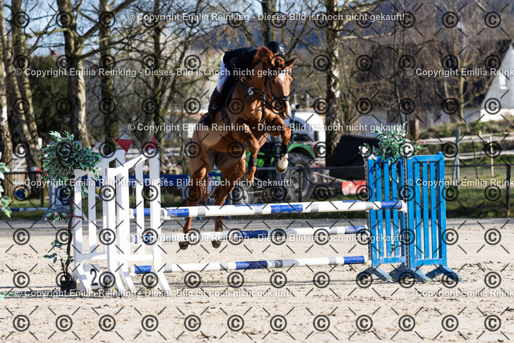 CL5A3306 | Emilia Reinking Fotografie - Realisiert mit Pictrs.com