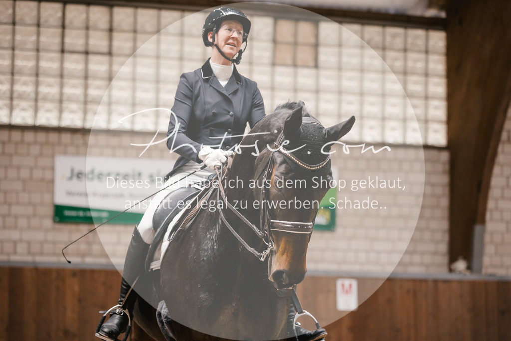 3I6A8265 | Stimmungsvolle Portraits und Reitsportfotografie im Ruhrgebiet und im Münsterland.

Pferdefotografie, Hundefotografie, Tierfotografie, Reportagen, Portraits von Tier und Mensch, Turnierfotografie in Bochum, Recklinghausen, Marl, Haltern am See, Dülmen.. - Realisiert mit Pictrs.com