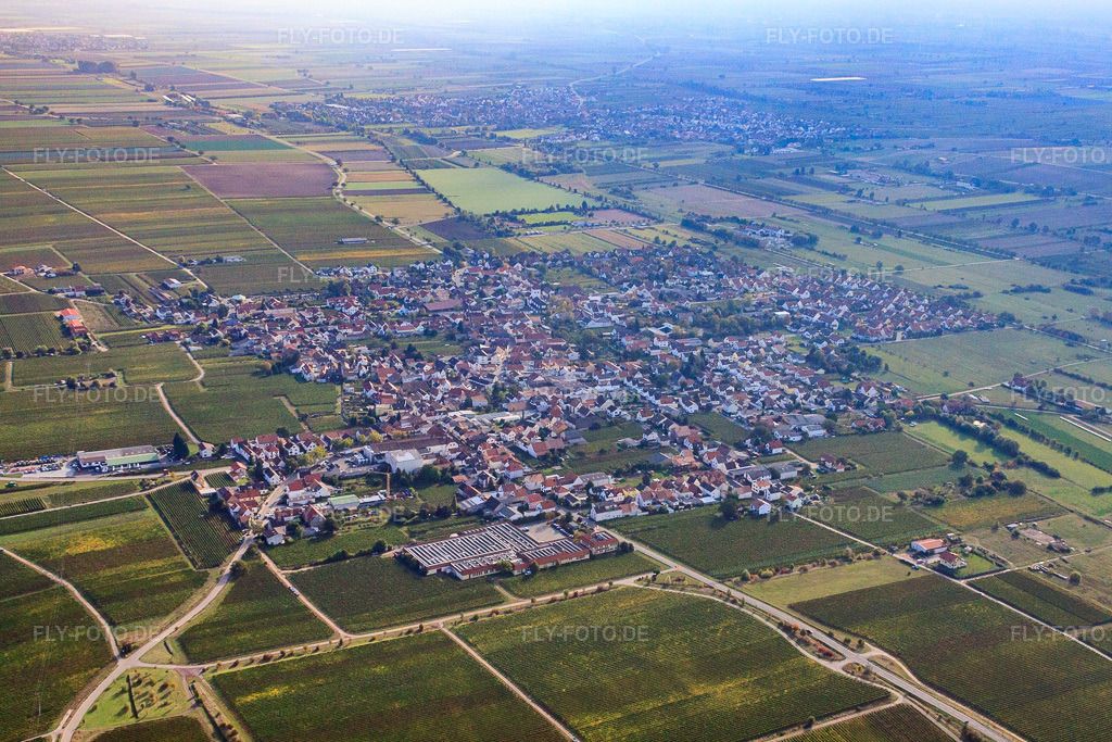 Luftbild: Ortsansicht von Nordwesten in Niederkirchen bei Deidesheim im Bundesland Rheinland-Pfalz in Deutschland. Foto: IMG_21990.jpg vom 15.10.2009 durch Werner Riehm/FLY-FOTO.de