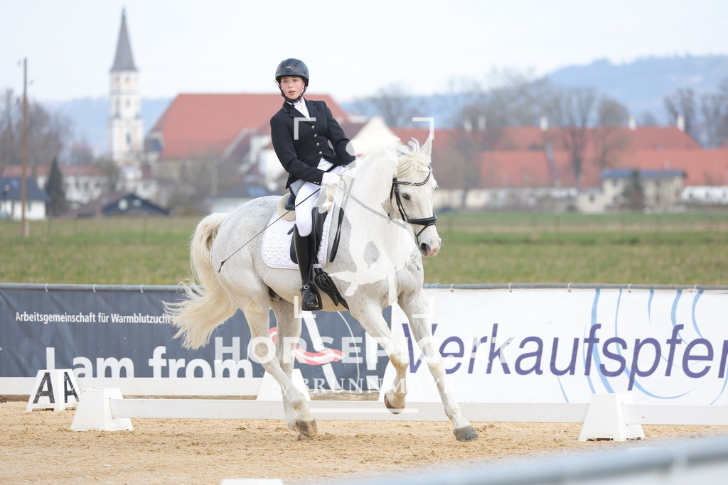 0P6A6516 | Willkommen bei Brunnmayr - Design & Fotografie – Ihrem Spezialisten für Reitturniere und Pferdeveranstaltungen in Oberösterreich, Salzburg und Bayern! Seit über 17 Jahren sind wir leidenschaftlich dabei.