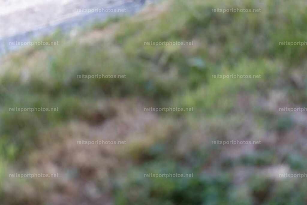 JoYa1_02475 | JoYa Fotografie - Realisiert mit Pictrs.com