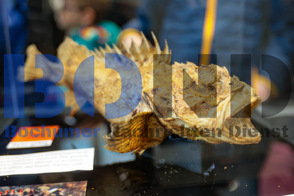 SES_INSBOC20250316-8 | bond - Realisiert mit Pictrs.com