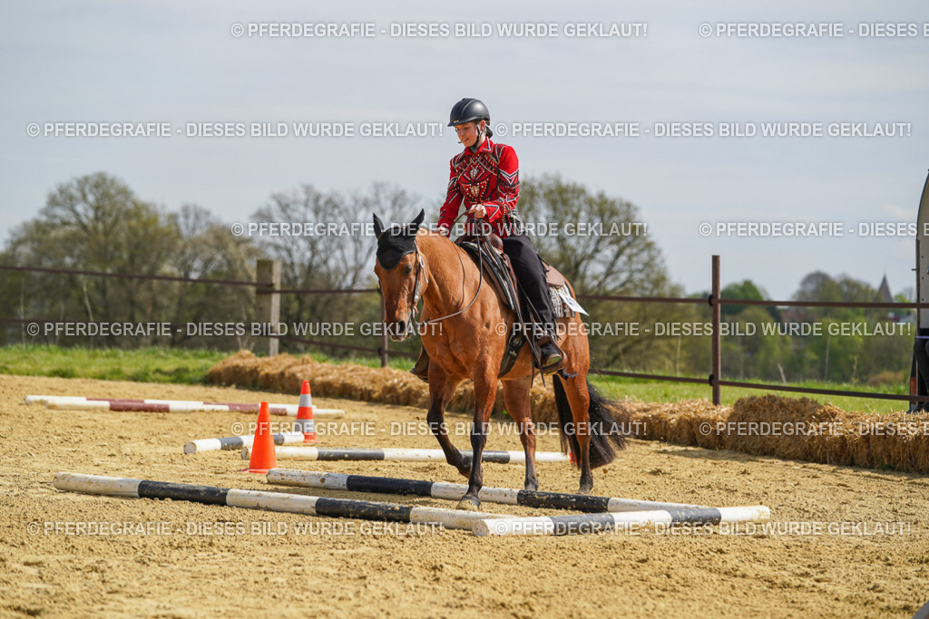 DSC04495 | Pferdegrafie