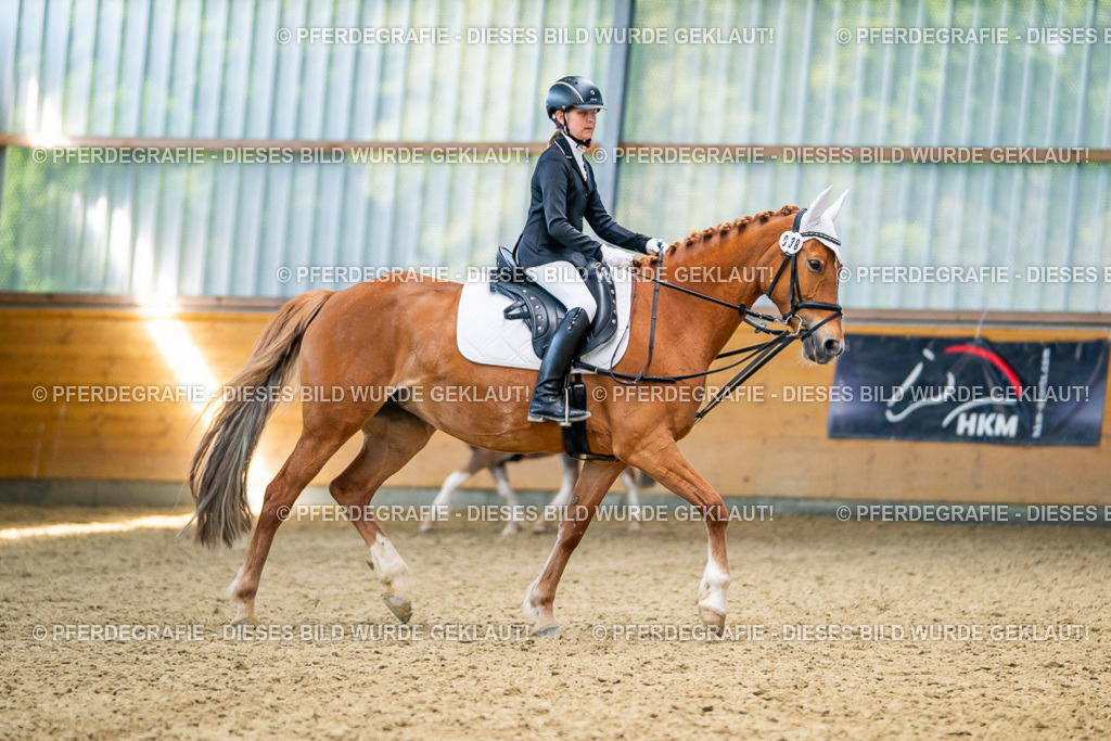 DSC02881 | Pferdegrafie