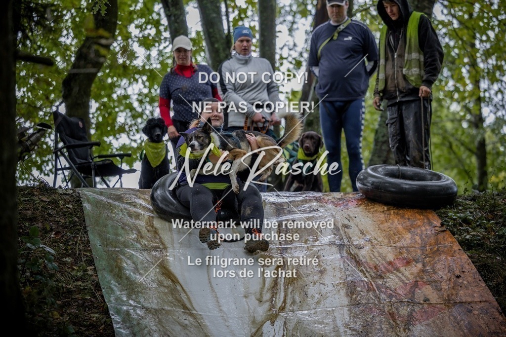nelerasche_Hunsrück_Sa1430-1500_157-final | nelerasche