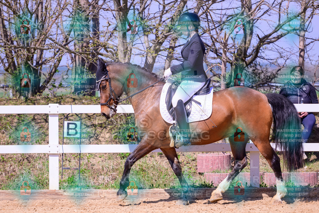 11042026-Mammendorf-Prfg31-1-0214 | Fokus Hufschlag Fotografie - Realisiert mit Pictrs.com