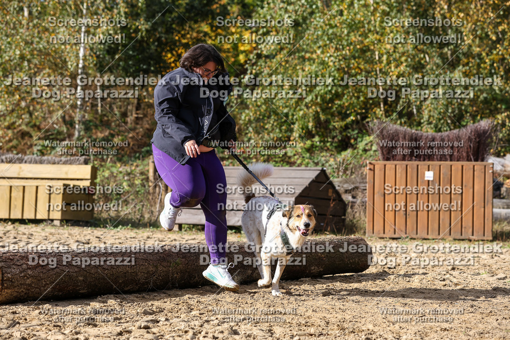 Dog Paparazzi - Strongdog 10-25-5136 | Dog Paparazzi Jeanette Grottendiek Fotografie & Videografie - Realisiert mit Pictrs.com