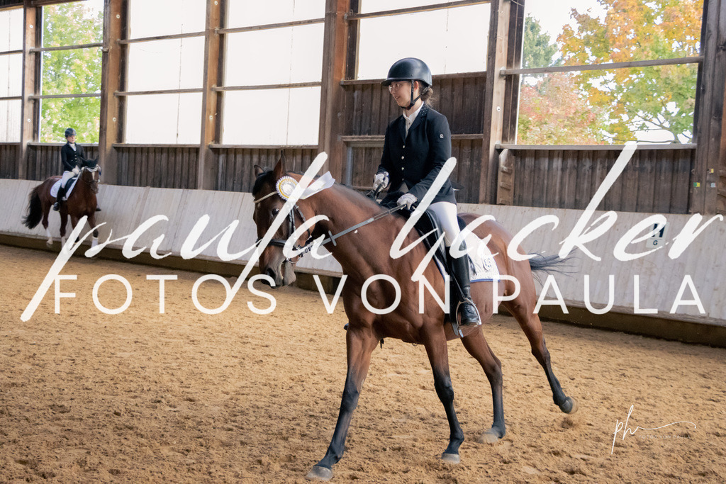 IMG_3318 | Erleben Sie dynamische Sport- und emotionale Tierfotografie in Süddeutschland mit Fotos von Paula. Spezialisiert auf Pferde- und Hundefotografie sowie Sportevents. Kontaktieren Sie mich für einzigartige und ausdrucksstarke Bilder Ihrer besonderen Momente. - Realisiert mit Pictrs.com
