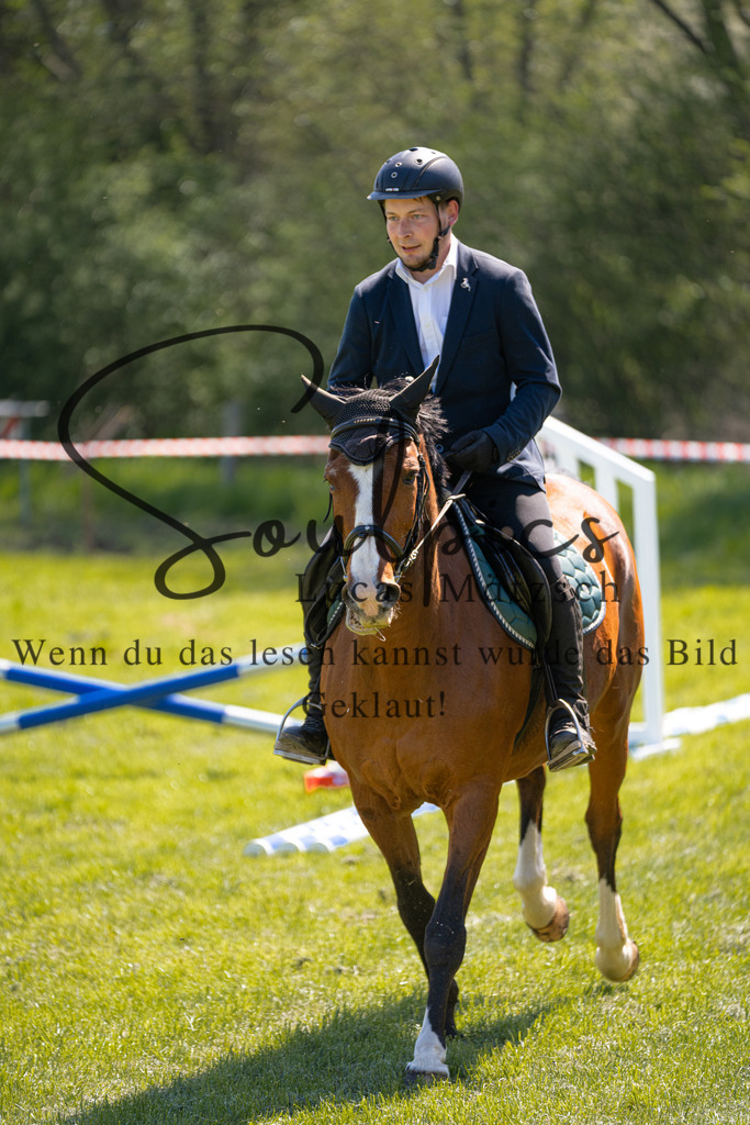 A7V01187 | Pferdefotograf