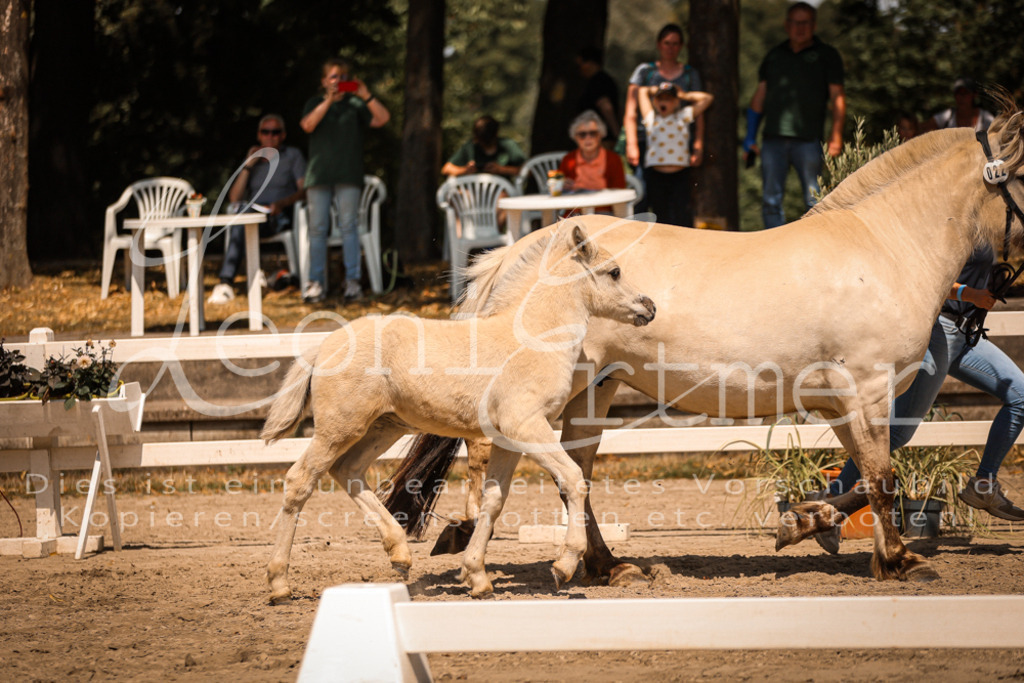 05.DoF00060 | Leoni Ertmer Photography - Realisiert mit Pictrs.com
