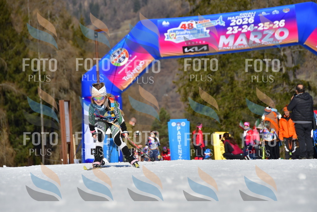 _DSC8802 | holidayphoto