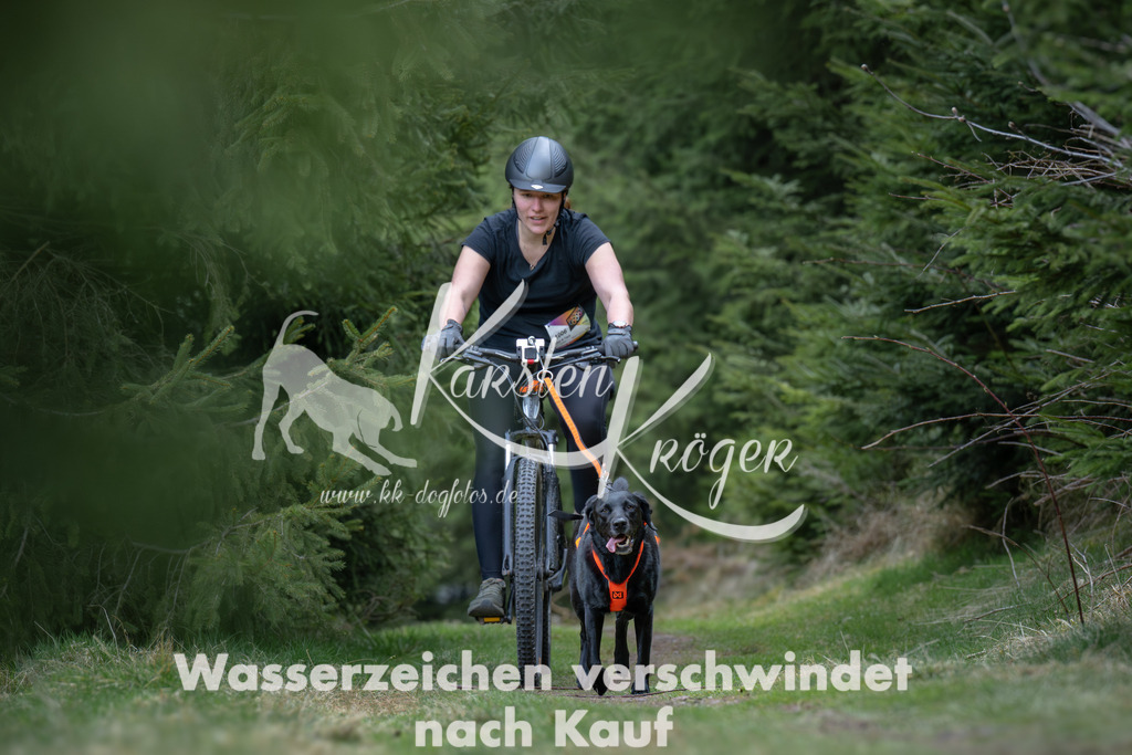 1309_ZZ93716 | kk-dogfotos