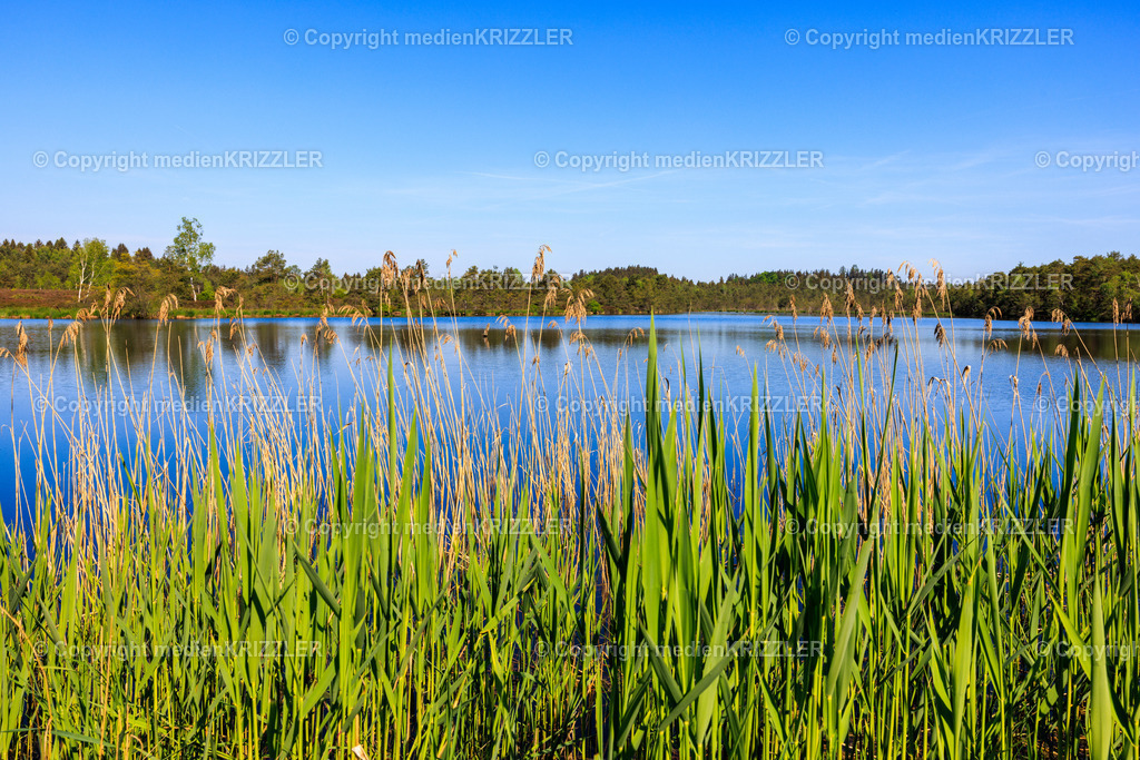 _J3A7754 | medienkrizzler - Realisiert mit Pictrs.com