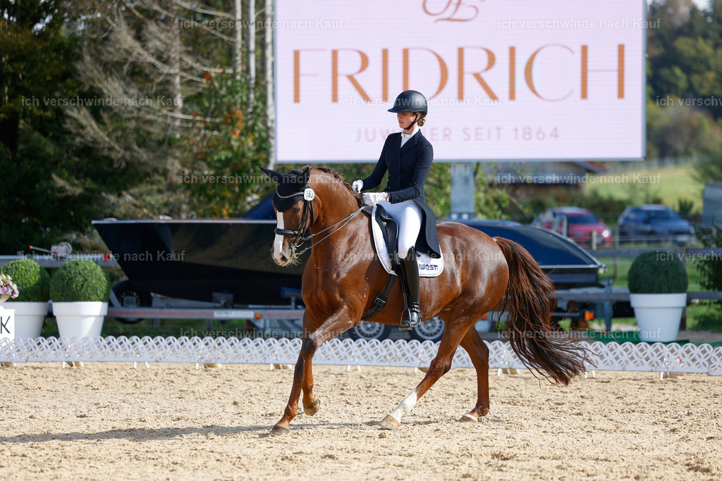 09_2-163-DRESSUR  S_  -StoibPH-5730 | working equitationturnier fotograf videograf stoibphotography marixx film working equitation deutschland reitsport turnierfotografie eventfotografie equestrian events