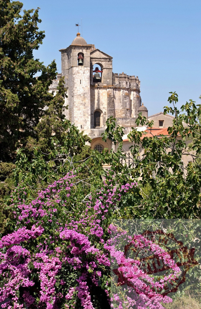 Convent of Christ bell tower with bougainvillea in Tomar, Portugal | Convent of Christ bell tower and historic architecture peeking through green trees and vibrant bougainvillea - Realized with Pictrs.com