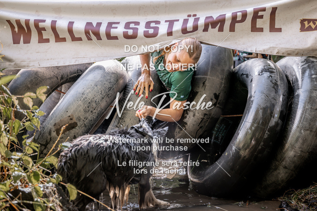nelerasche_Hunsrück2026_Sa1400-1500_440 | nelerasche