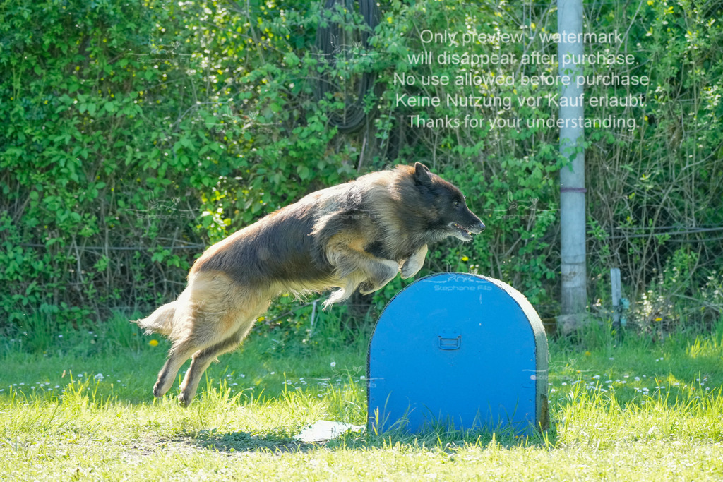 Sa_VK3_03-38 | stephaniefillaphotographie - Realisiert mit Pictrs.com