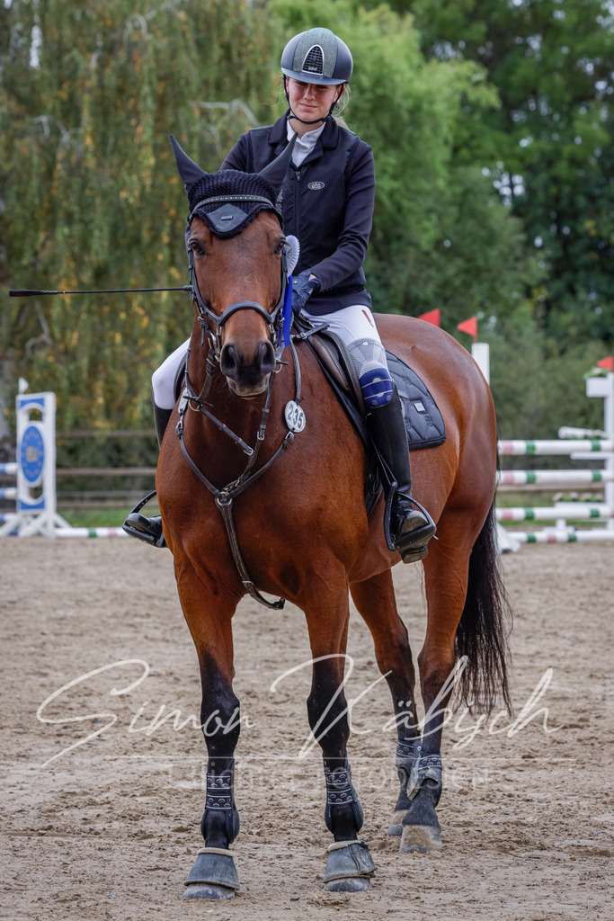 20251012-_3LI4699 | Tierfotografie Pferde, Hunde, Katzen, Haustiere.
Turnierfotografie Reitturniere, Reiten, Springreiten, Dressur in Hanau, dem Main-Kinzig-Kreis und dem Rhein-Main- Gebiet um Frankfurt