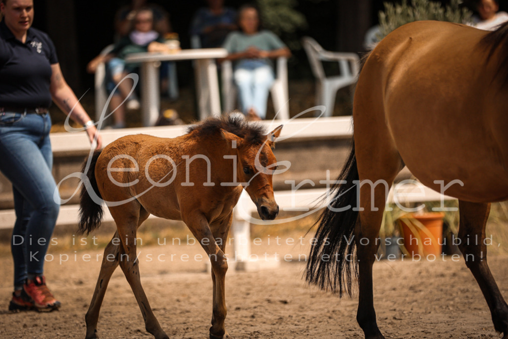 02.DoSR00088 | Leoni Ertmer Photography - Realisiert mit Pictrs.com