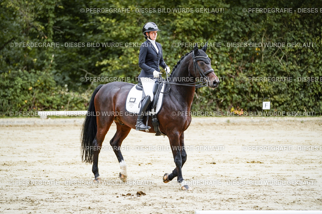 DSC09177 | Pferdegrafie